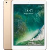 Apple Ipad Wifi Only 32gb Gold (5th Generation)